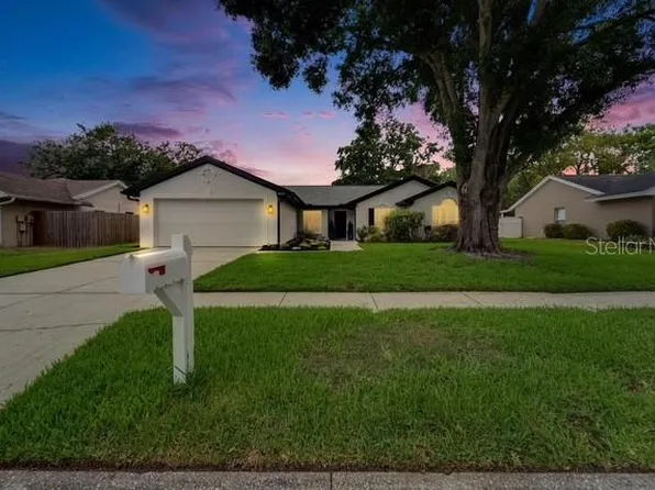 10412 Tara Dr, Riverview, FL 33578