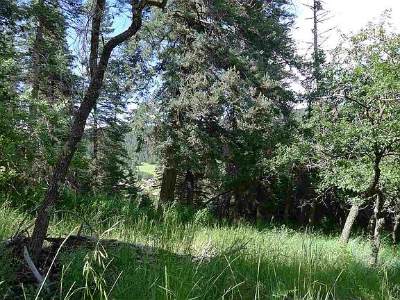 8 Elk Wallow, Cloudcroft, NM 88317 | MLS #166423 | Zillow