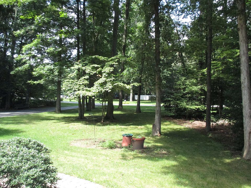 Wooded Front Yard!