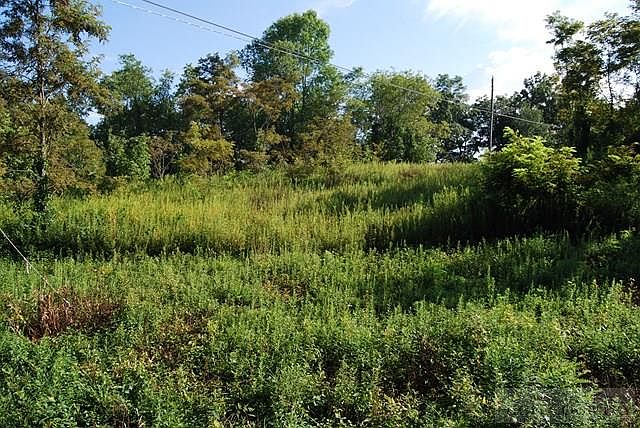 2nd image of Tbd Wind Ridge