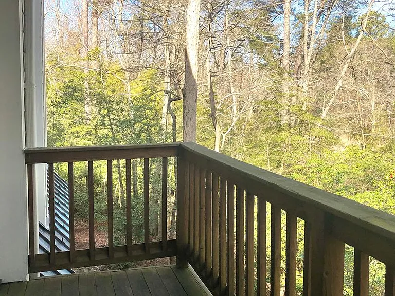 1224 Back Creek Loop — Photo 3