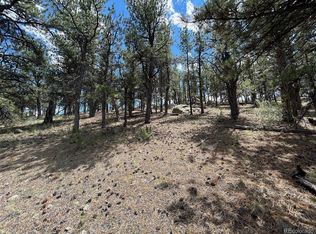 164 Lazy Cir #3, Hartsel, CO 80449