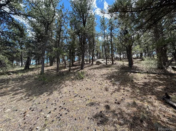 164 Lazy Circle LOT 3, Hartsel, CO 80449