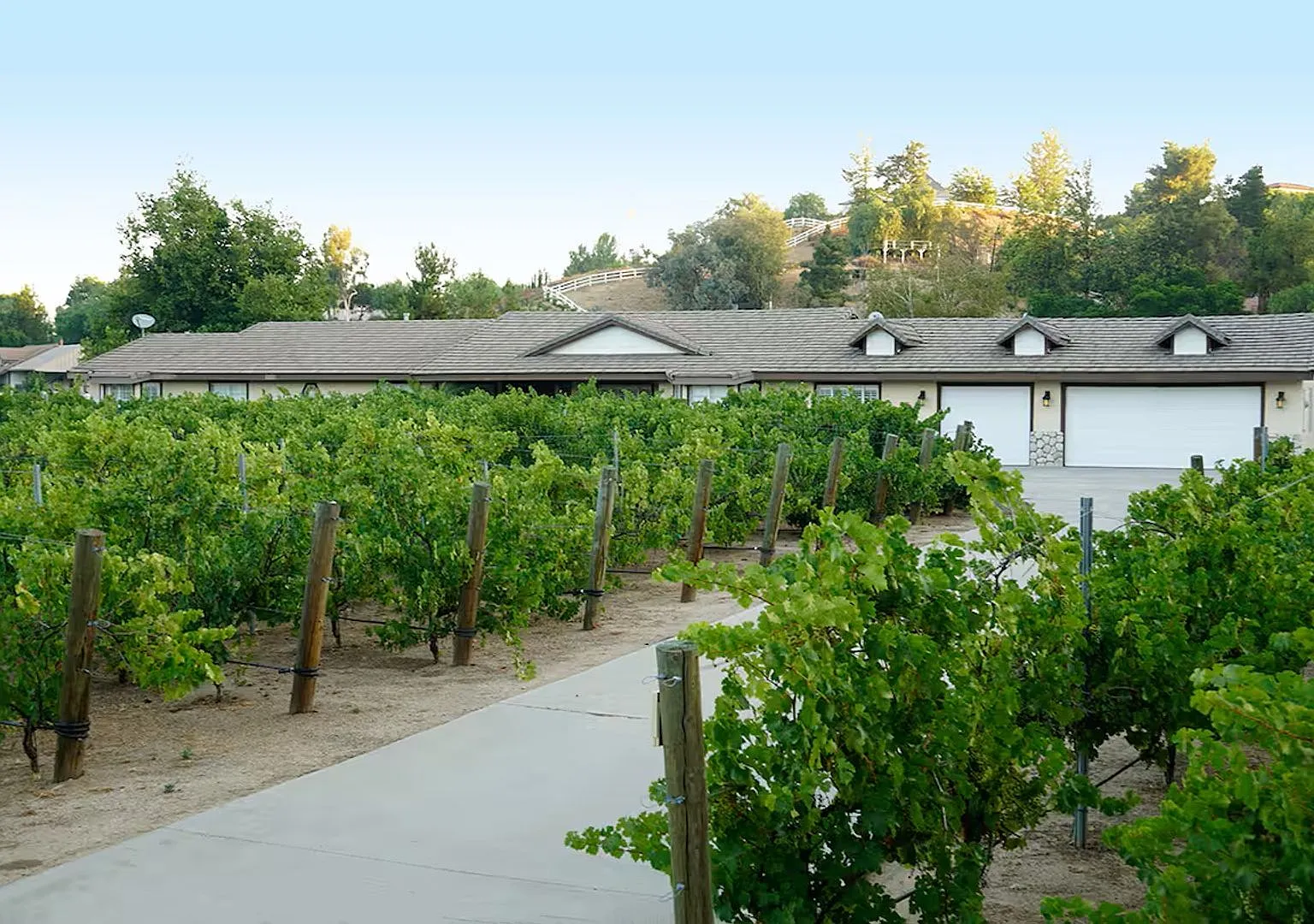 Temecula Wine Country Estate | Luxury 4BR Retreat with Pool, Vineyard Views & Entertainment Grounds — Photo 1
