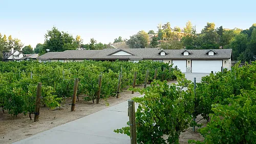 41740 Camino Del Vino Photo 1