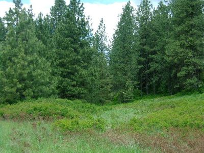 X12x Hoag Rd, Valley, WA, 99181