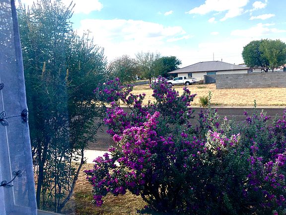 view from the 2nd window of the living room