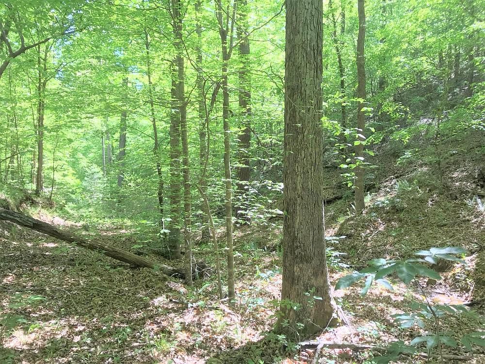 0 Upper Tyro Rd, Berry, AL 35546 MLS 11254678 Zillow