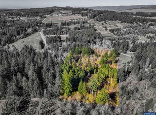19890 Sharon Tony Way SE, Silverton, OR 97381