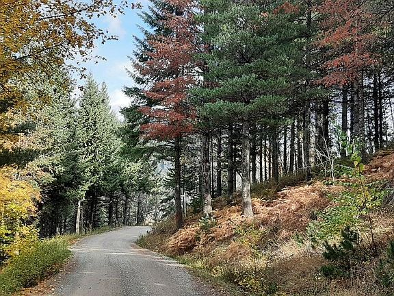 5th image of 2 Parcels Alhambra Rd