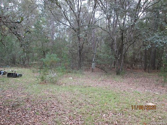 5th image of 11959 S Pine Oak Ter