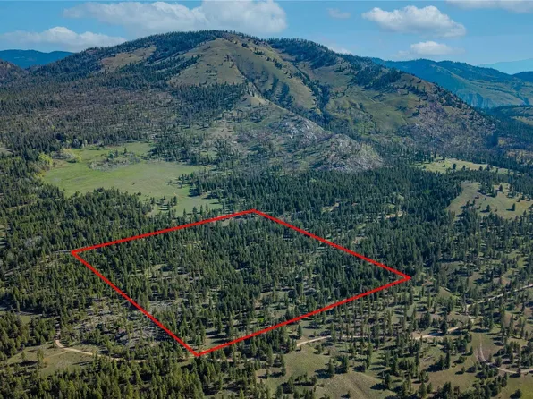 0 TBD Mineral Hill Road, Conconully, WA 98819