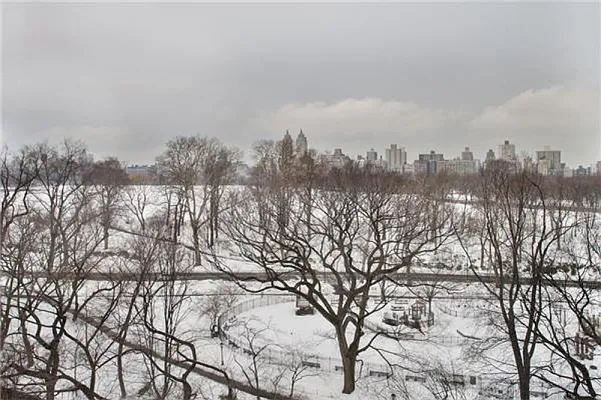 Sold by Leslie J. Garfield | media 2