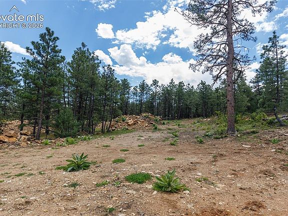 4th image of 8719 Ponderosa Pine Dr