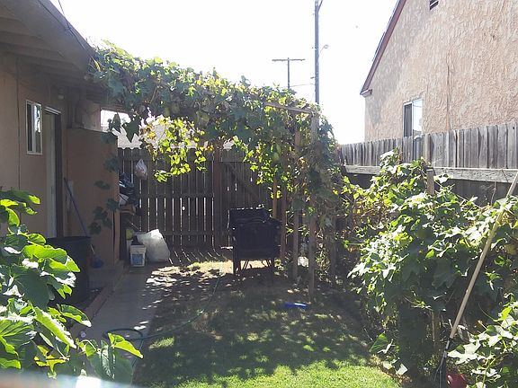 Beautiful yard 119 Iris 