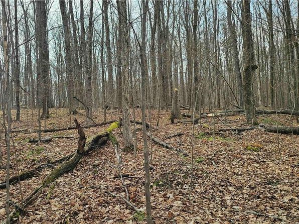 Thayer Rd, Erin, NY 14838