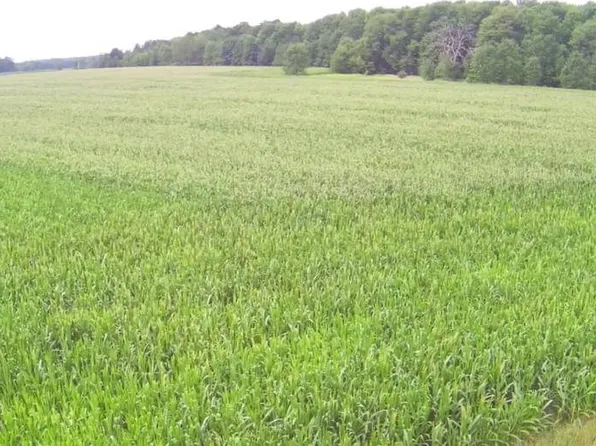 3745 State Highway 107, Marathon, WI 54448