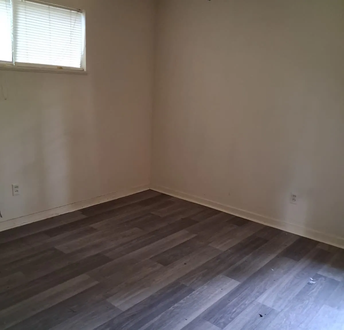 1110 Shalimar Drive - 1 — Photo 2