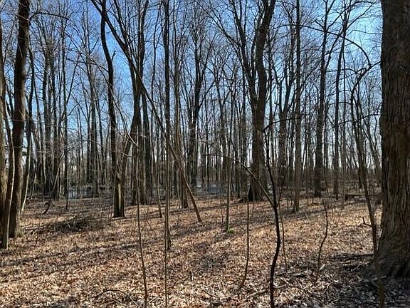 4th image of 5265 County Road 48