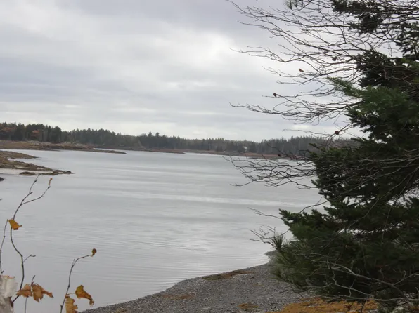 Lot #5 Hardy Point Road, Pembroke, ME 04666