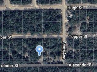Alexander St #19, Interlachen, FL 32148