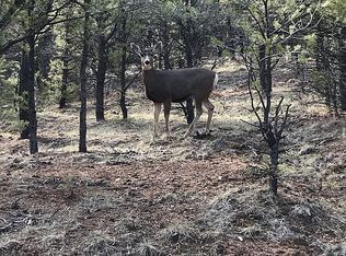 140 Cedar Ln W, Ridgway, CO 81432