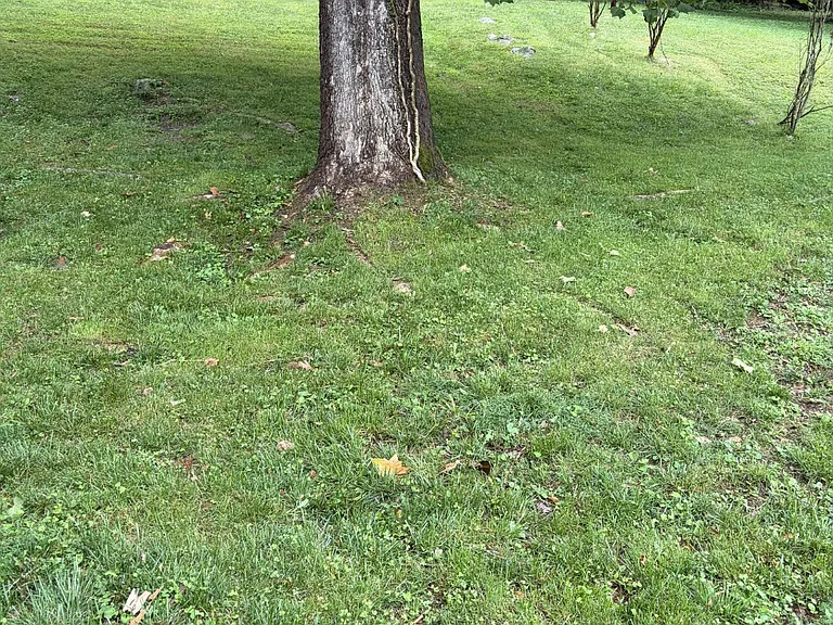 126 Sycamore Dr #126 — Photo 36