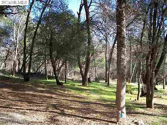 3rd image of 10319 Little Deer Dr
