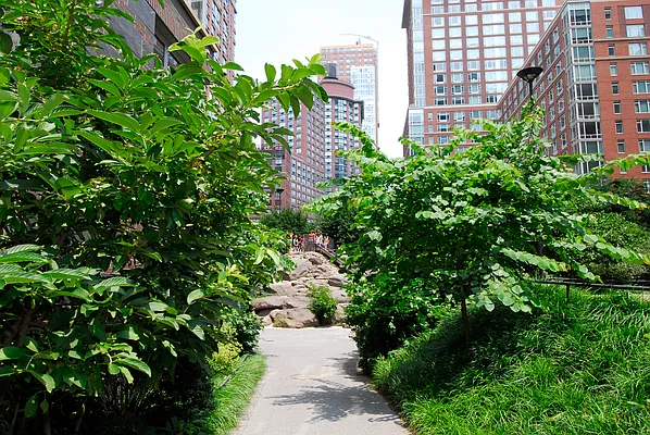 Rented by The Albanese Organization | media 16