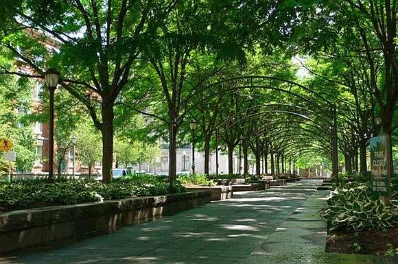 Beautiful Piatt Park