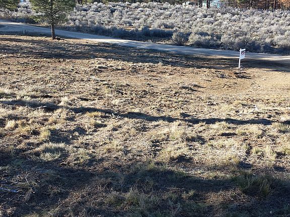 Canadian Honker Lane