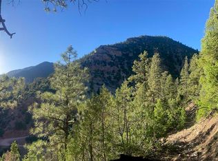 58 Road #P, Placerville, CO 81430