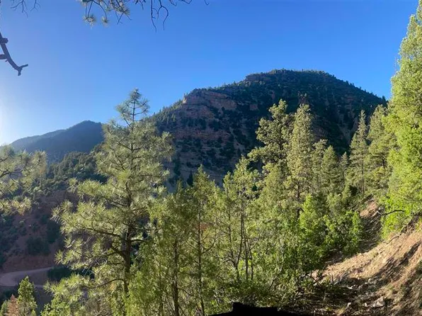 TBD 58P Road, Placerville, CO 81430