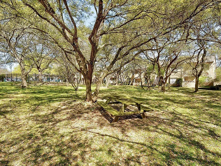 Pet Area
