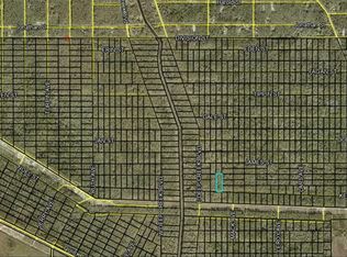 Kelly Rd LOT 771, Hastings, FL 32145