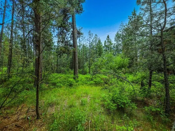 5881C Carey Rd, Tumtum, WA 99034