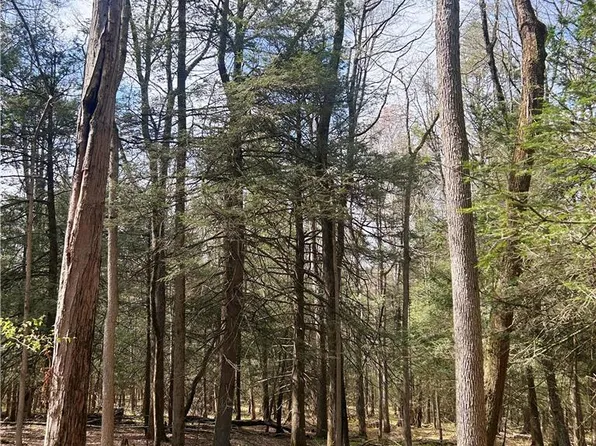 Lakewood Rd, Saylorsburg, PA 18353