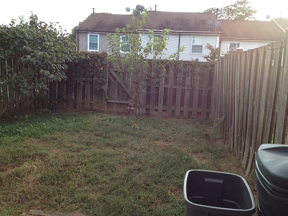 back yard