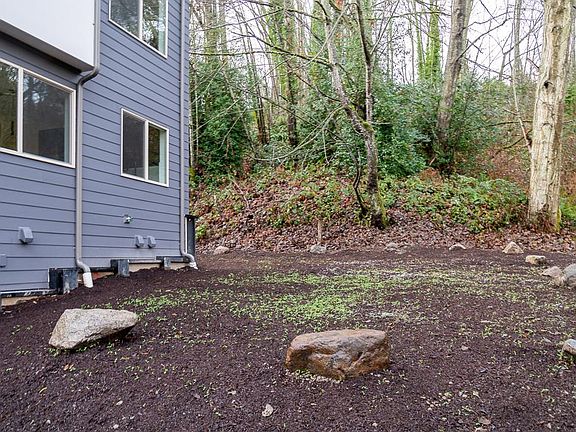 backyard shared with next door neighbor - now with grown-up natural shrubs and plants