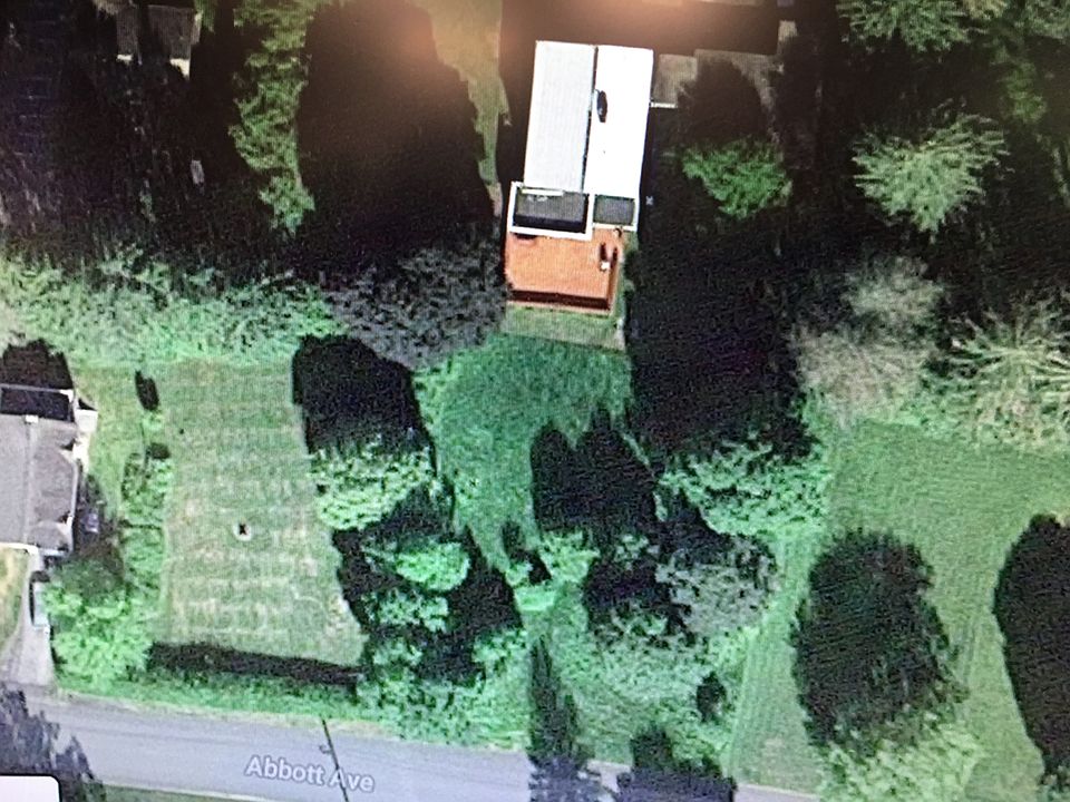 2nd image of Abbott St
