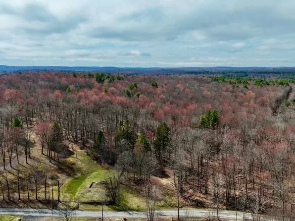 0 Cranberry Rd, Mountain Dale, NY 12763