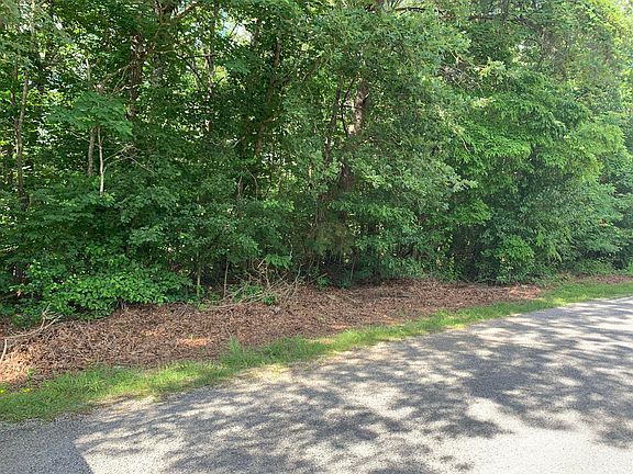 3rd image of 124 Ivy Ln
