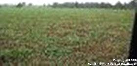 1st image of 0000 CR 233