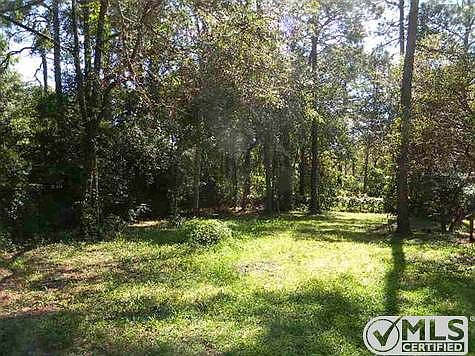 5th image of 2548 Sugar Pine Ct