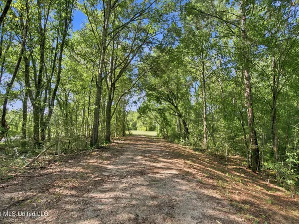 132 Cody Goldman Rd, Lucedale, MS 39452