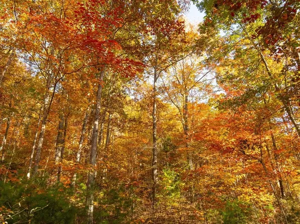 Cobblestone Dr #27 & 29, Waynesville, NC 28786