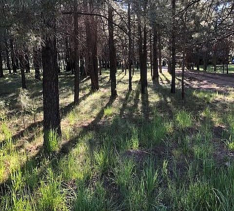 1322 Sheep Springs - Pic Vacant Lot - 46