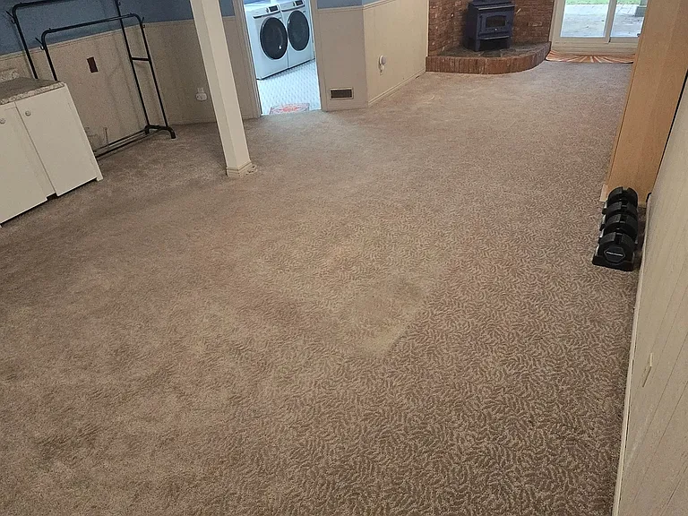 106 Springdale Cres #LOWER LEVEL — Photo 5