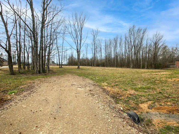 235 Saddle Brook Cir, Austin, AR 72007