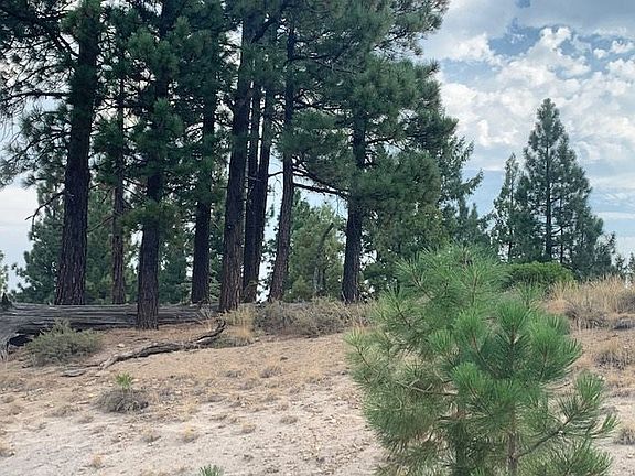 4th image of 245 Eagles Nest #15